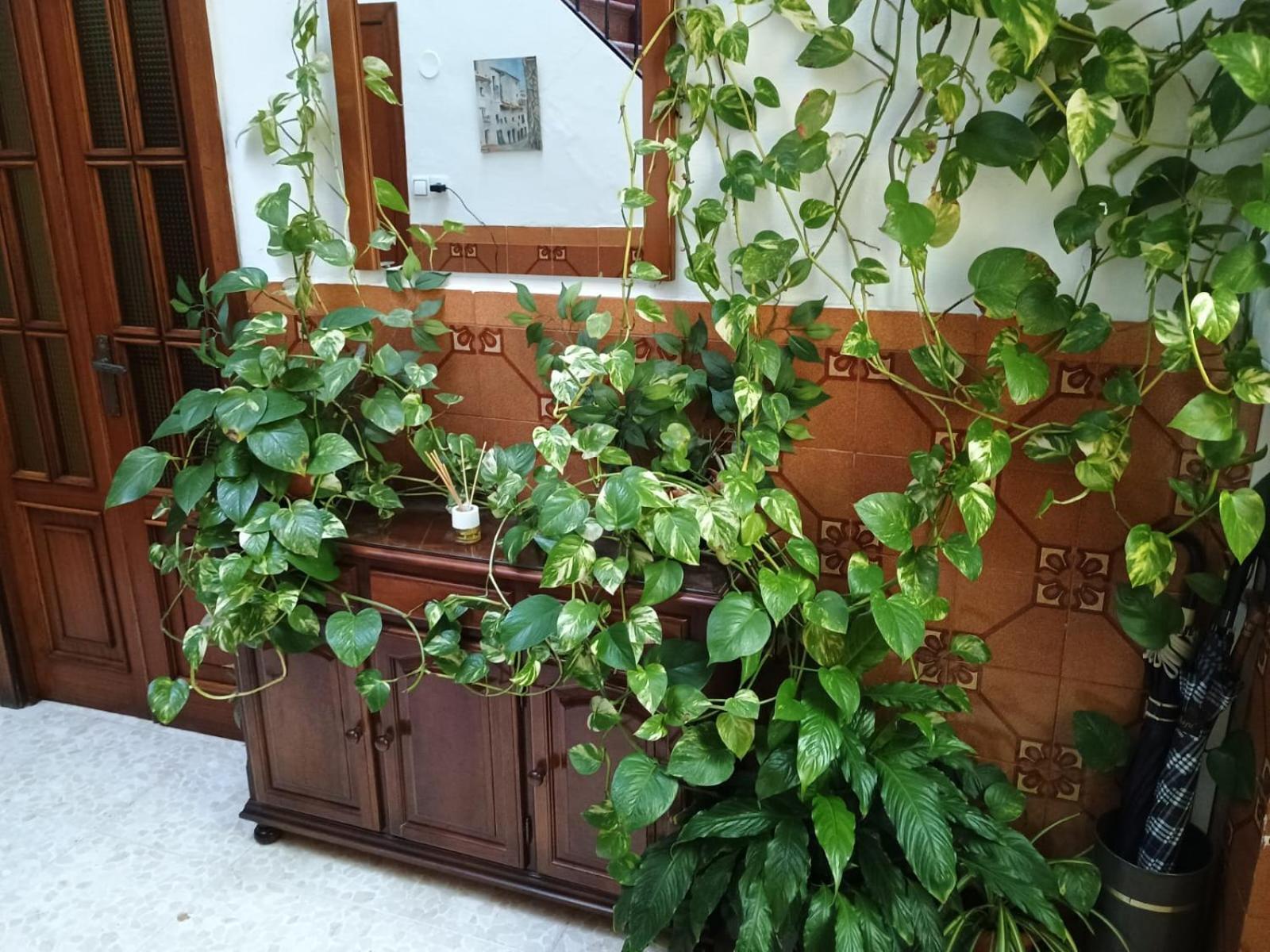 Casa Matbel Appartamento Cordova